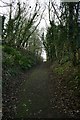 Railway Cutting in Campbeltown