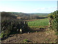 Pasture land with gate