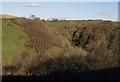 Wooded valley below  Accott