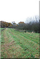 Footpath towards Manston Copse