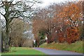 The Rough Lane near Antrim