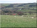 Pastures above The Hagg