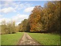 Driveway up the valley, Winterburn