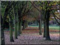 Path at Prospect Street, Horncastle