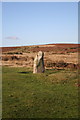 Maen Richard - standing stone