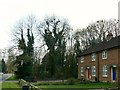 Houses, Enham Alamein