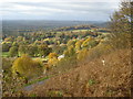 Autumn colour at Colwall