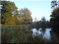 Putley Court pond