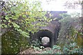 Footpath tunnel under railway near Hemerdon