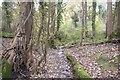 Small stream in Chaddle Wood