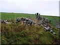 Rough grazing near Garrochtrie