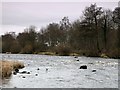 The River South Tyne near Crow Hall