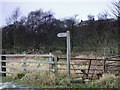 Footpath to Beltingham