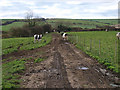 Footpath to Newton Mulgrave