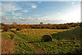 Greetwell Hollow Nature Reserve, Lincoln