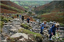 NY2906 : Climbing Stickle Ghyll by Steve Partridge