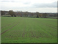 Farmland on Trowell Moor