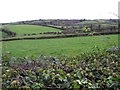 Killycapple Townland