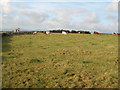 Farmland near Llanfair