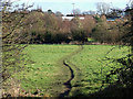 Smestow Valley Nature Reserve, Wolverhampton