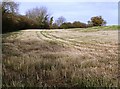 Farmland south of West Court