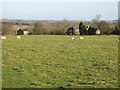 Pastures south of Great Whittington (2)