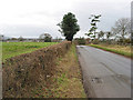 Road to Newent from Upleadon