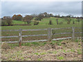 Crop field between Newent and Upleadon