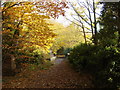 Footpath along old rail route