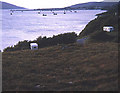 Loch Broom from Corry Bridge