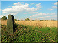 Farmland at Plumbley