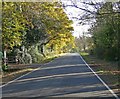 Ashby Lane towards Bitteswell