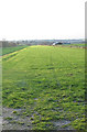 Footpath on grass landing strip