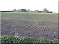 Public footpath across arable land.