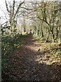 SU5414 : Upper Curdridge: footpath from Gordon Road by Chris Downer