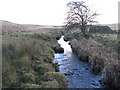 NY9782 : The infant River Wansbeck by Mike Quinn