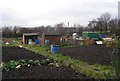 Allotments off Old Lane