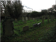 TG3804 : St Margaret's Church - churchyard by Evelyn Simak