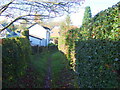 Footpath between the houses