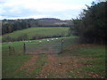 Public footpath near Locust Coppice