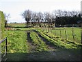 Looking E across farmland from Durlock Road