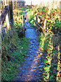 Footbridge over the Buckler Burn