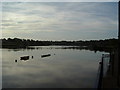 S6112 : Suir River, Waterford from the Quality Inn, Canada Quay by Terry Johnson