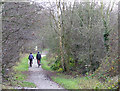 SO8793 : South Staffordshire Railway Walk at Wombourne by Roger  Kidd
