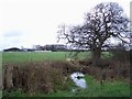 Near Cheswardine Park Farm