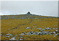 NN5698 : The summit of Geal Charn by Nigel Brown