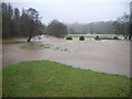 Looking at the swollen river and flooding