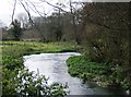 River Wey near Froyle