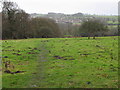 Field and woodland south of Shaws Lane