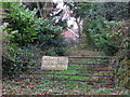 Notice on gate, Leazes Lane